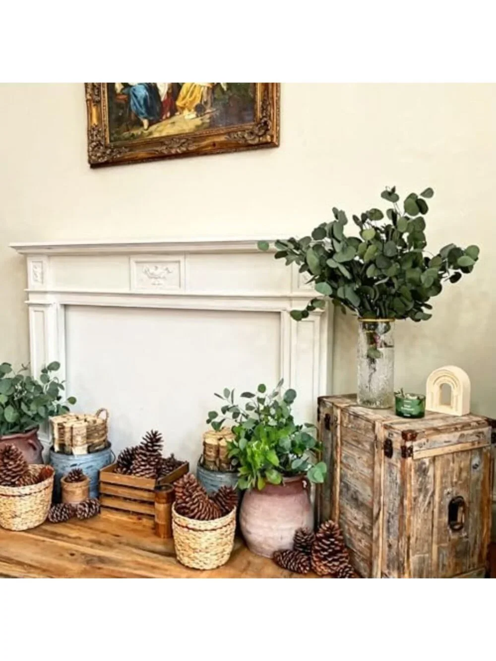 30 Pcs Dried Eucalyptus Stems - 17